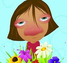 Eye Allergies