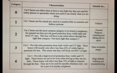 The Different Categories of Sunglasses