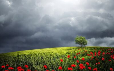 Remembrance Sunday 2020 – A poem by our Poetic Optician