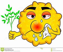 Allergies and Your Eyes