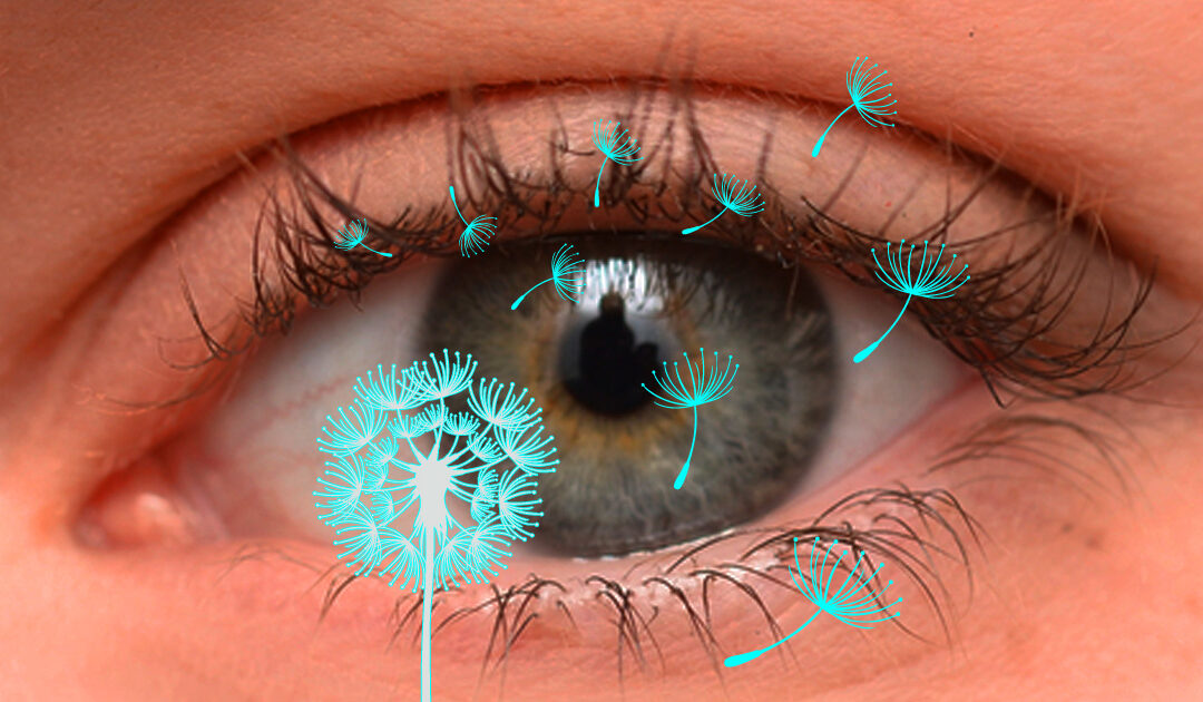 Eye Allergies – What You Need To Know