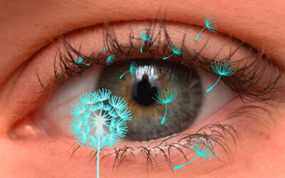 Eye Allergies – What You Need To Know