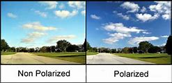Polarized