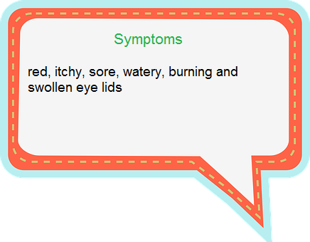 Symptoms Allergies